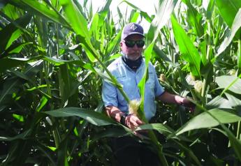 Reevaluating Nitrogen as Input Prices Rise