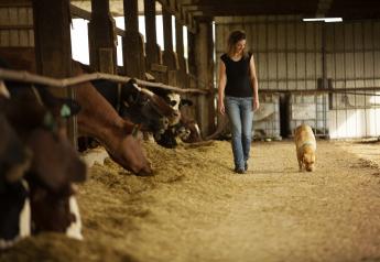 Parlor Talk: Why is it Important to Manage Your Farm's Financial Risk?