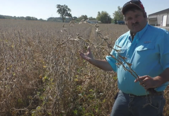 Six Sources of Soybean Harvest Losses And How To Address Them