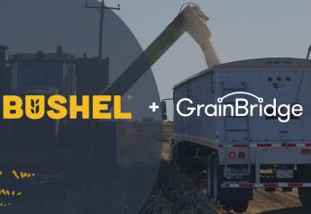 Bushel Acquires GrainBridge, Leader Says ‘Standardization Breeds Innovation’