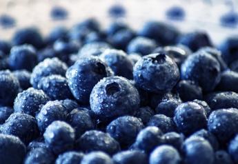 U.S. Southeast blueberry shipments showed mixed trends in 2021