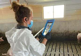 Telemedicine and African Swine Fever: 5 Reasons to Take a Closer Look