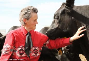 Temple Grandin: Looking Back, Looking Ahead
