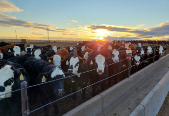 Cattle Contract Library Act Passes Ag Committee