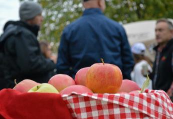 BelleHarvest celebrates apple harvest with curious pairings event