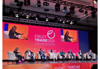 Fruittrade 2021 looks at trends and future of Chilean fruit