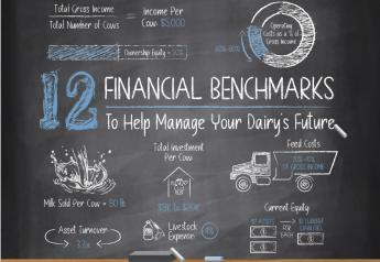 Fit in 2022: 12 Financial Benchmarks to Help Manage Your Dairy’s Future 