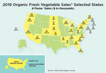 Organic produce market to grow up to 10% in 2022