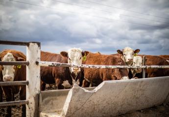 New Iowa Beef Plant To Seek Federal Funds Through Biden Plan