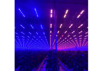 Sollum Technologies completes its largest-ever smart LED lighting installation