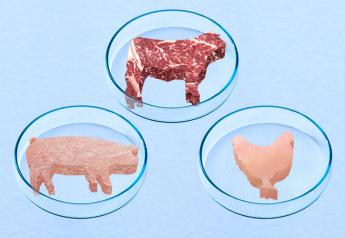 $10-Million USDA Grant to Develop Cell-Cultivated Meat in Bioreactors
