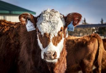Animal Disease Traceability Allows Rapid Tracing