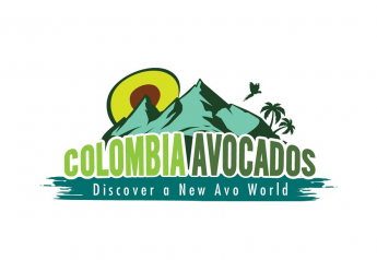 Colombia Avocado Board debuts new brand