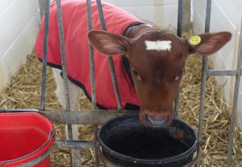 Four Tips for Cleaning and Storing Calf Jackets