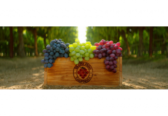 Promotable California table grape volume continues through December