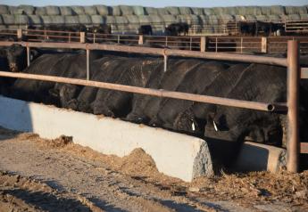 Missouri Cattlemen Welcome New Beef Processor
