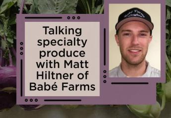 Talking specialty produce with Matt Hiltner of Babé Farms