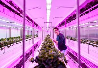Signify launches virtual Center of Excellence for smarter, more sustainable urban vegetable farming 
