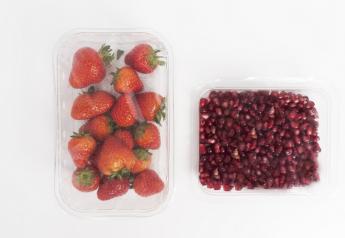 Sappi Rockwell Solutions offers sustainable lidding film for the soft fruit industry