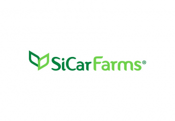 SiCar Farms reports expanded season for winter citrus