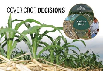 Cover Crop Decisions: Thorough Planning Increases The Odds For Success