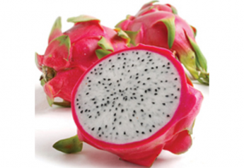 USDA seeks comment on draft pest risk assessment for imports of dragon fruit from the Dominican Republic