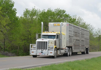 Hours of Service Waiver for Livestock Haulers is Extended Again