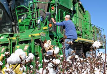 Even with Climbing Cotton Prices, China is Back in Market for U.S. Cotton 