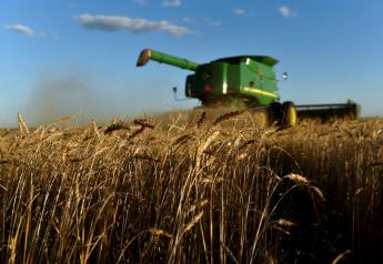 Moisture Seen Critical for Wheat Blasted by U.S. Plains December Dust Storm