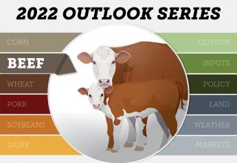Cattle Outlook Optimistic for 2022