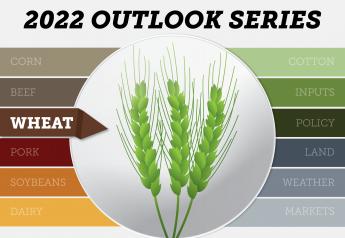 Drought and Demand Drive the 2022 Wheat Outlook