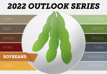 2022 Soybean Planting Projections are a Moving Target, Prices will Whipsaw