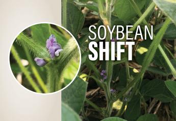 Soybean Shift: Tips to Plant Early Soybeans