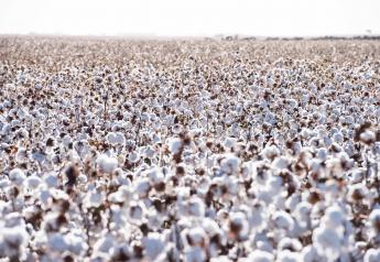 BASF launches Axant Flex: First Quadruple Stack Herbicide Resistant Trait Package for Cotton