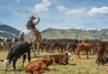 Rupert Murdoch Buys Sprawling Montana Ranch From Koch Industries