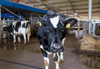 Protect Your Farm From Disease With a Biosecurity Plan