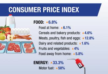 Food Inflation Heats Up to Highest Level in More Than 10 Years