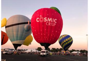 Cosmic Crisp sales are aiming higher