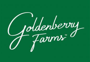 Goldenberry Farms opens USA Market with initial shipments to Miami and Los Angeles