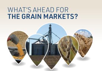 The Finish Line: Grain Markets Offer Profit Opportunities to End 2021