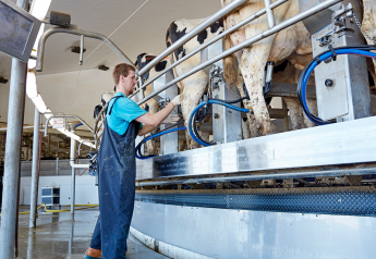 Is Your Milking Equipment Causing Mastitis?