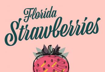 Strawberry production strong from Florida