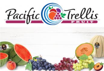 Pacific Trellis Fruit announces sales promotions
