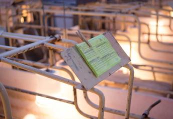 2024-25 SowBridge Educational Series Registration Open for Swine Producers