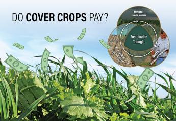 Research Demonstrates Cover Crops as Carbon Negative