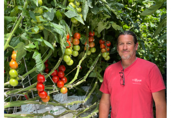 Village Farms Greenhouse Growns announces Steve Poklemba as new director of global supply chain management 
