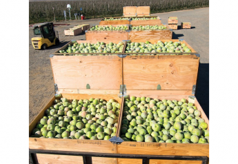2021 Arctic apple harvest complete, includes first Arctic Fuji crop