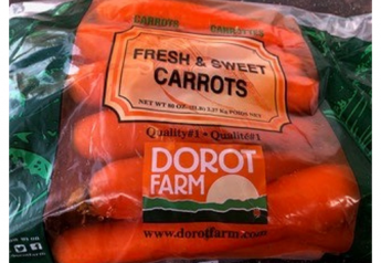 BDA/Dorot Farm launches new crop carrots