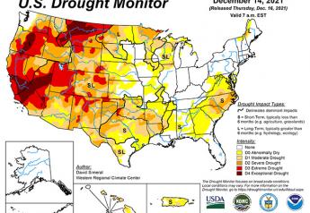 Amount of winter wheat in drought unchanged