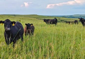 Trust In Beef Joined by U.S. Roundtable for Sustainable Beef